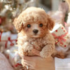 PupBot™ - Realistische Robot Puppy