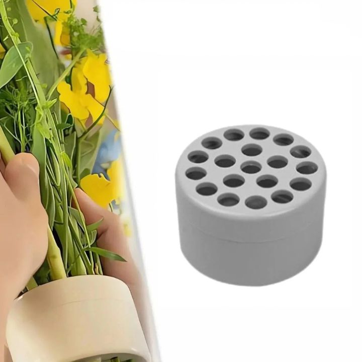 1+1 GRATIS | BlossomLock™ Spiralen Vormige Bloemstelenhouder