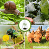 PlantShield™ (10 Stuks) - Bescherming voor uw Planten!
