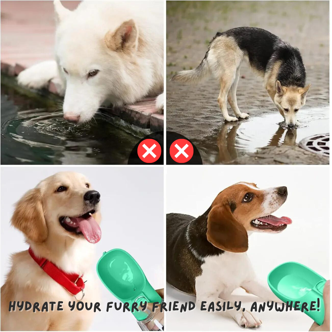 PetPal™ - Draagbare hondenkom met waterfles