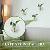1+1 GRATIS | WallBloom™ Creatieve Wandgemonteerde Vaas