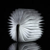 LumiFold™ - Opvouwbare bedlamp voor het omslaan van Pagina's