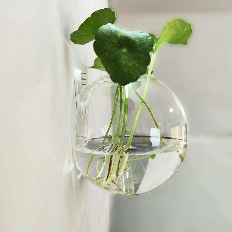 1+1 GRATIS | WallBloom™ Creatieve Wandgemonteerde Vaas