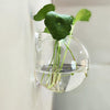 1+1 GRATIS | WallBloom™ Creatieve Wandgemonteerde Vaas