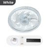 FanLume™ - 2-in-1 Ventilatorlamp met Afstandsbediening