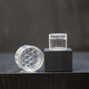 1+1 GRATIS | BlossomLock™ Spiralen Vormige Bloemstelenhouder