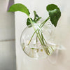 1+1 GRATIS | WallBloom™ Creatieve Wandgemonteerde Vaas