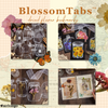 BlossomTabs™ - DIY Transparante Lesezeichen (Set van 80 stuks)