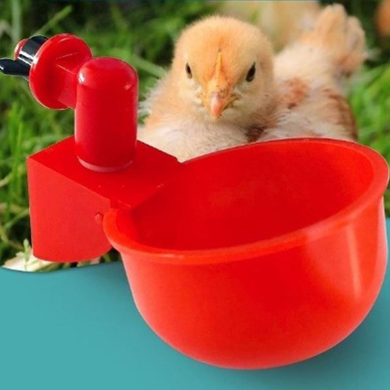 3+3 GRATIS | HydraCup™ Automatische Watervoorziening voor Pluimvee