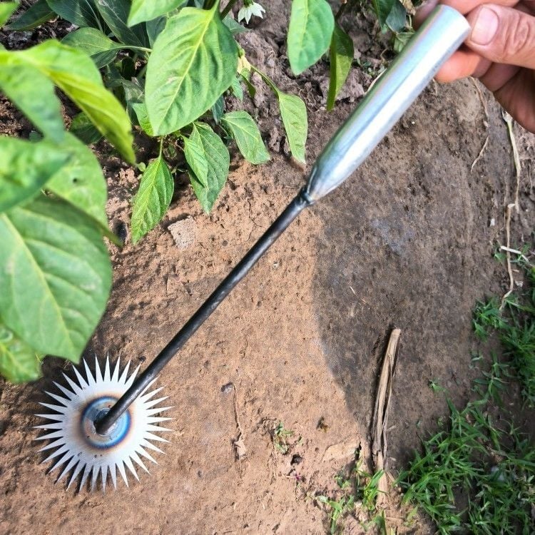 WeedWiz™ - Efficiënt Onkruid Wieden in Slechts Een Paar Seconden!