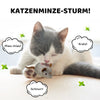 1+1 GRATIS | PurrPlay™ Opwindende Kwetsgeluid