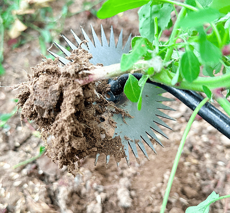 WeedWiz™ - Efficiënt Onkruid Wieden in Slechts Een Paar Seconden!