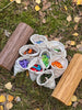FairyChess™ - Magnetische Boschampignons Schaken