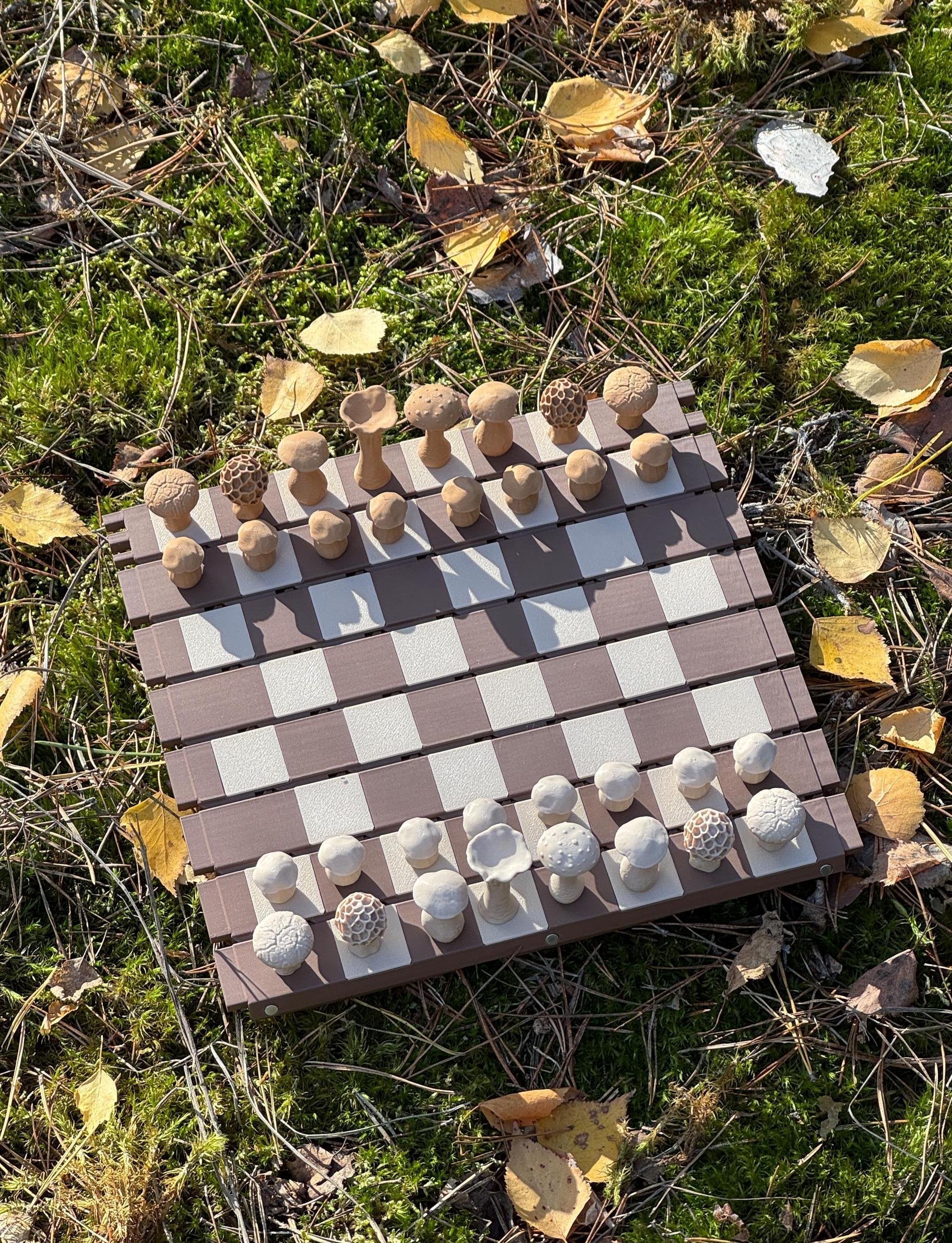 FairyChess™ - Magnetische Boschampignons Schaken