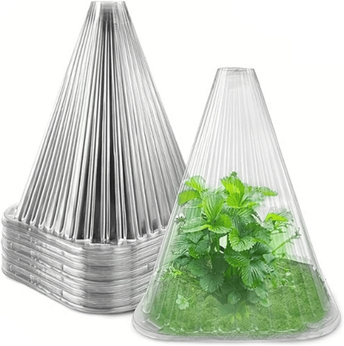 PlantShield™ (10 Stuks) - Bescherming voor uw Planten!