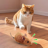 1+1 GRATIS | PurrPlay™ Opwindende Kwetsgeluid