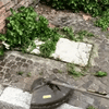 ProfiTrimmer™ - De onverwoestbare grastrimmer